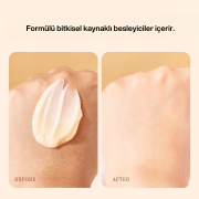 Astragalus Yüz Kremi 50g - Gece Kremi