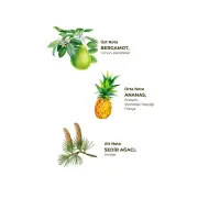 EST - Okyanus Kolonyası 400 ml - Pet Şişe